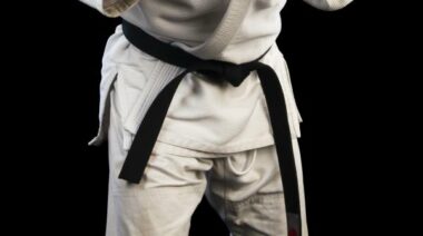 bjj, brazilian jiu jitsu, beginners, black belt, martial artists