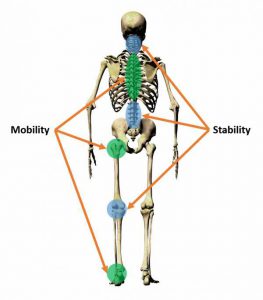 Build a Resilient Spine: Start Here - Breaking Muscle