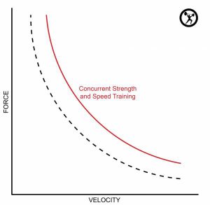 Demystifying Programming for the Everyday Athlete - Breaking Muscle