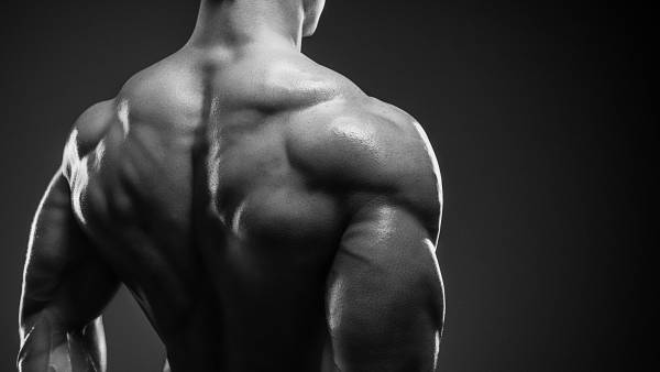 A Peek Inside Renaissance Periodization Breaking Muscle a-peek-inside-renaissance-periodization-breaking-muscle