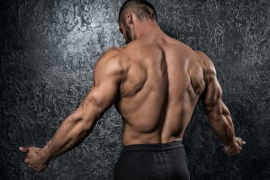 bodybuilder flexing muscular back