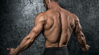 bodybuilder flexing muscular back