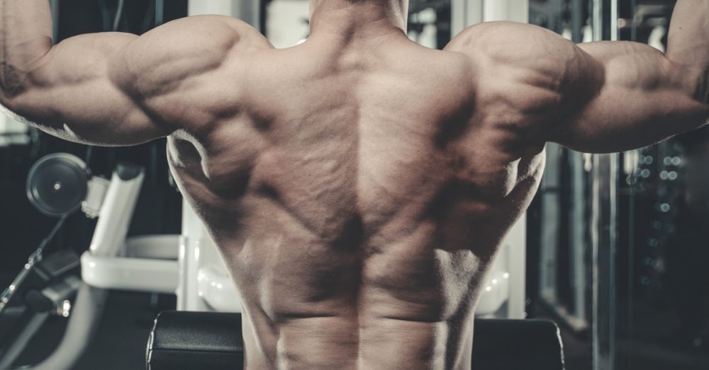 Strength Routines for Developing a Strong and Healthy Upper Back - Breaking  Muscle