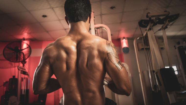 Seated Cable Rows: Proper Form, Muscles Worked & More - Steel