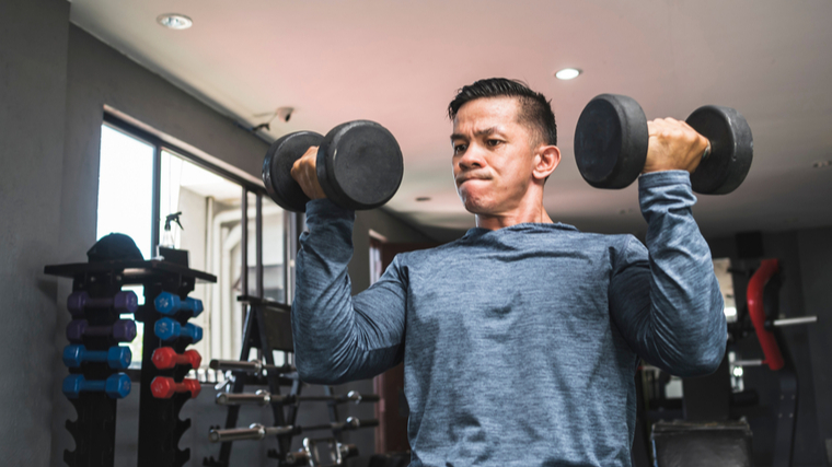 dumbbell overhead press muscles worked