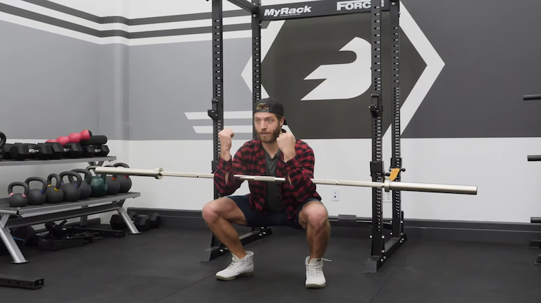 zercher squat bar