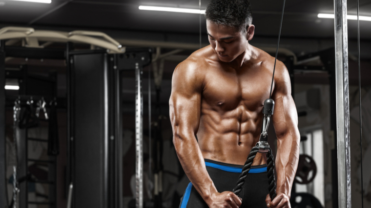 The Best Triceps Workouts for Muscle, Strength, and More