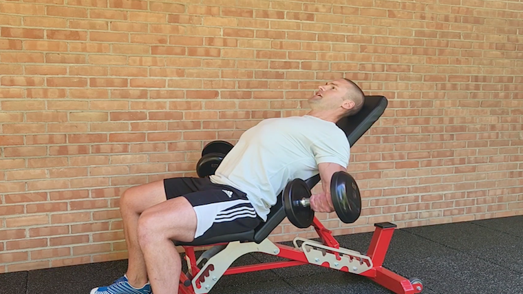 person performing incline dumbbell curl