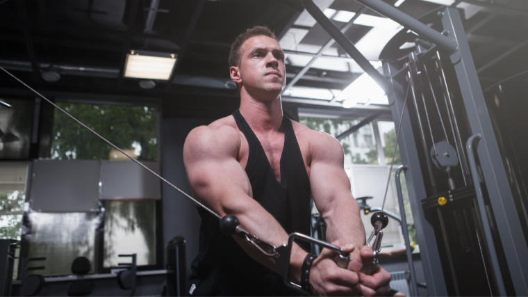 Chest Workout Cable Crossover Stock Photo - Image of flexing