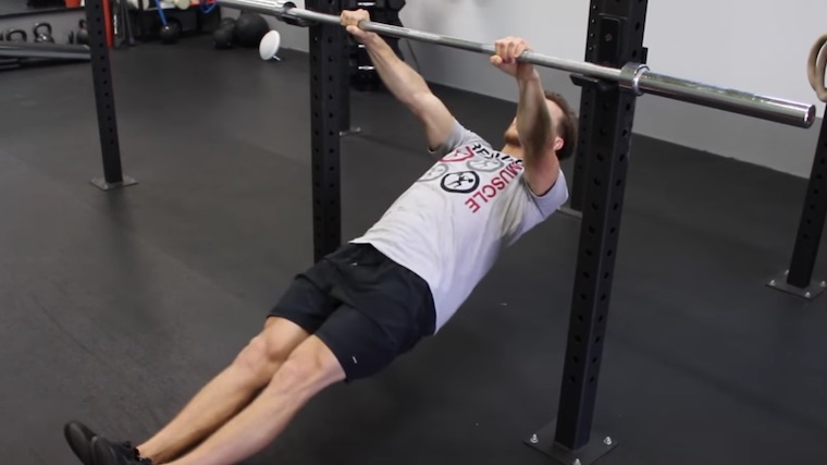 Bodyweight Bar Horizontal rows. a pull up regression 