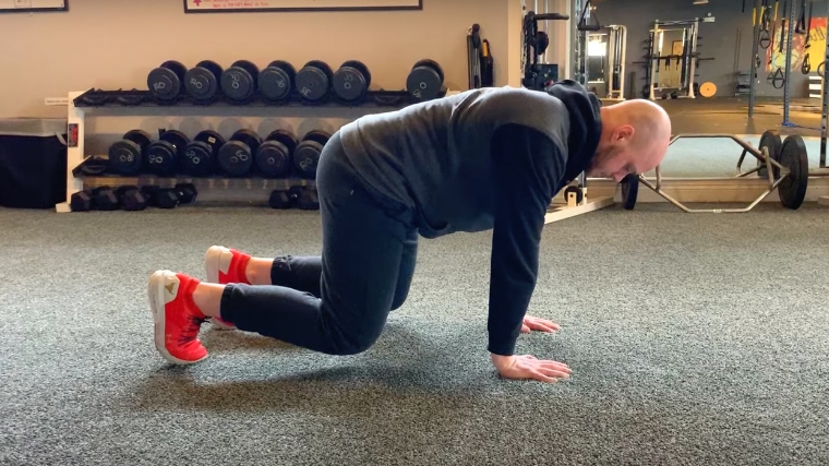 How to Do the Bear Plank for Stronger Abs and Total-Body Stability