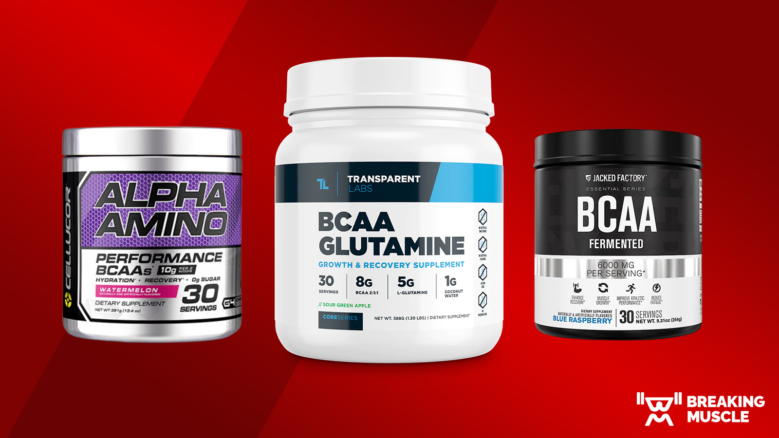 The 8 Best BCAA Supplements Boost Your Recovery (2023) | Breaking Muscle