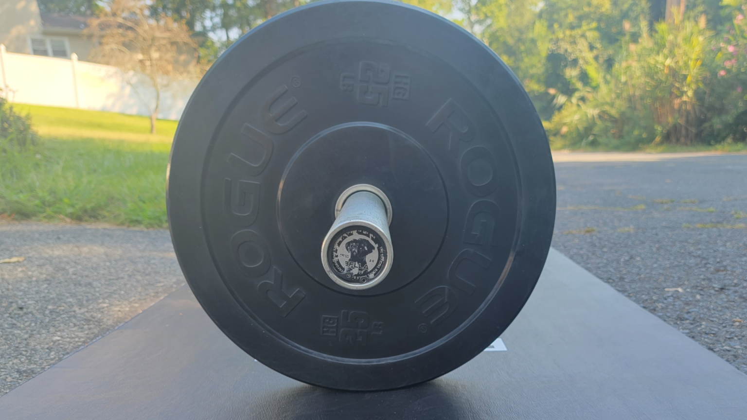The 8 Best Barbells To Buy in 2023 Breaking Muscle