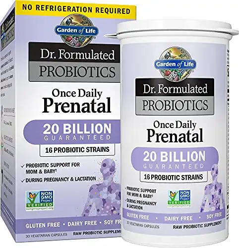 Garden of Life Dr. Formulated Once Daily Prenatal
