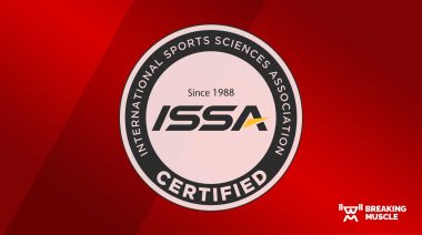 The ISSA logo on a red background