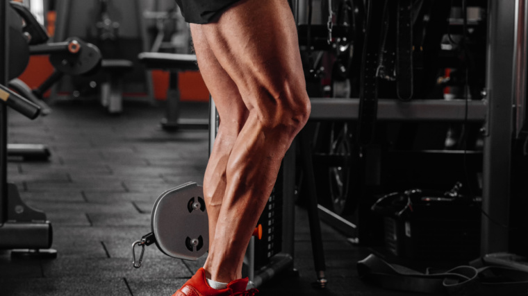 What Muscles Do Squats Work? Maximize Your Benefits from the King of Leg  Exercises - Breaking Muscle