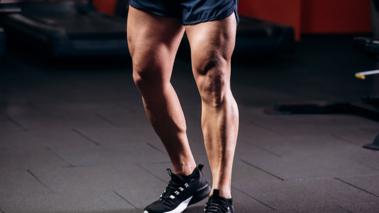 What Muscles Do Squats Work? Maximize Your Benefits from the King of Leg  Exercises - Breaking Muscle