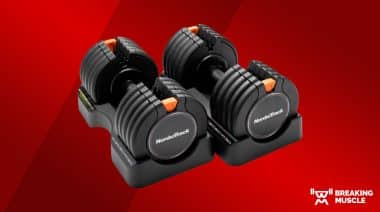 A photo of the NordicTrack Select-a-Weight Dumbbells on a red background