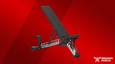 The Titan Series Adjustable Bench on a red background