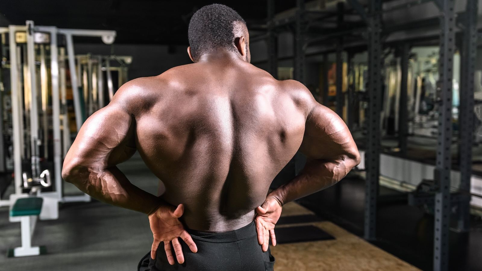 Wide back muscles