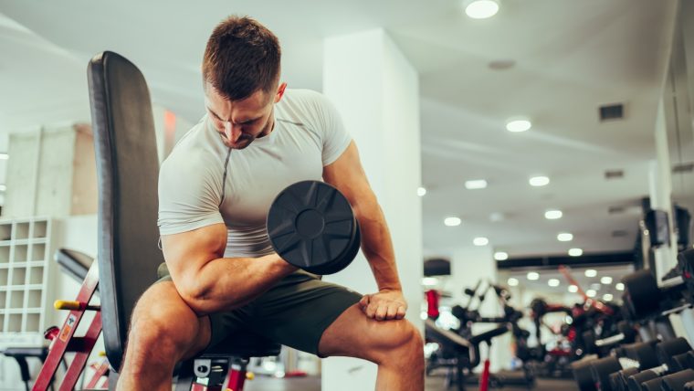 Man performs concentration curls in the gym while sitting on a weight bench.